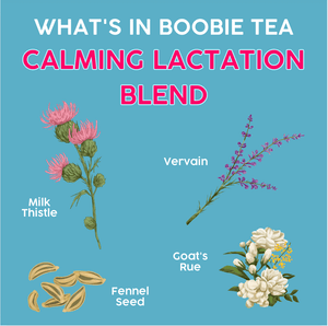 Boobie Tea Duo Pack | Boobie Bikkies – Boobie Foods