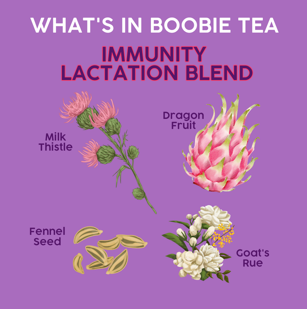 Boobie Tea – Immunity Blend Single Pack